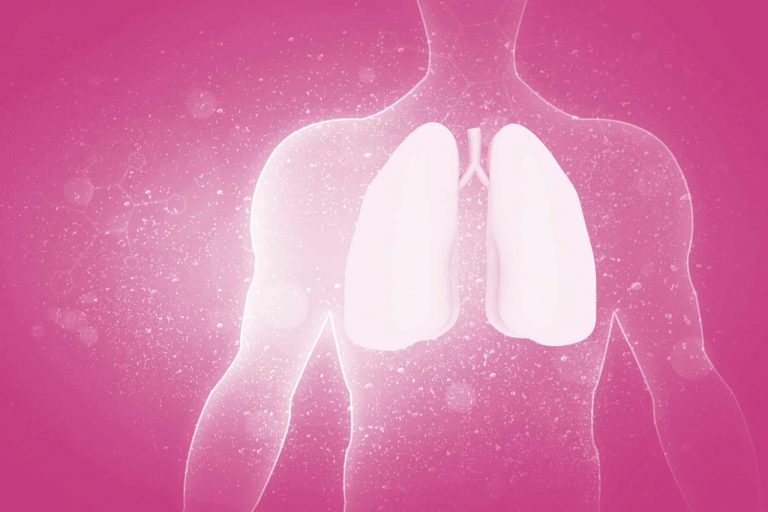 Darm-Lungen-Achse: Der Einfluss vom Darm auf die Lunge