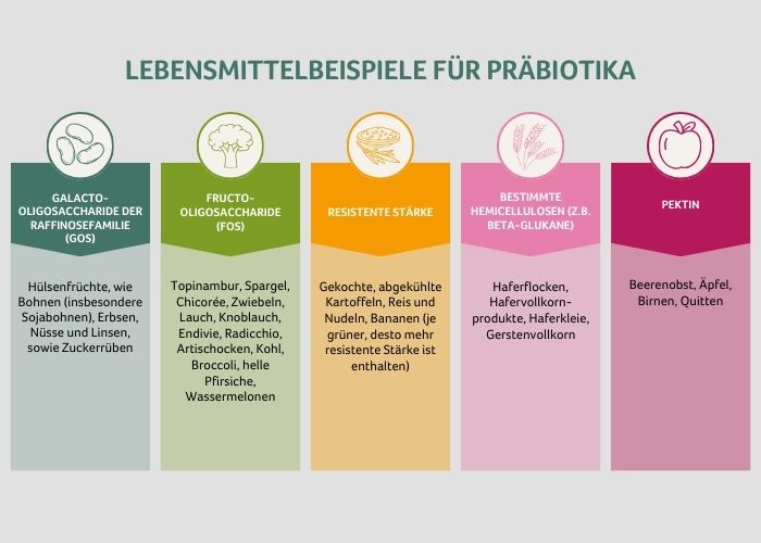 Lebensmittelbeispiele fuer Praebiotika