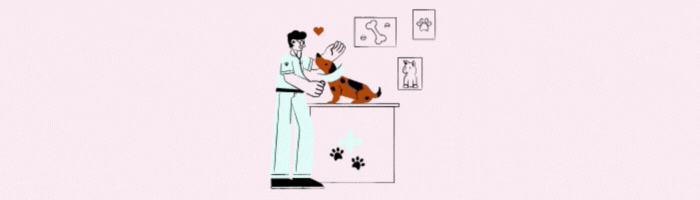 Grafische Darstellung eines Hundes beim Tierarzt