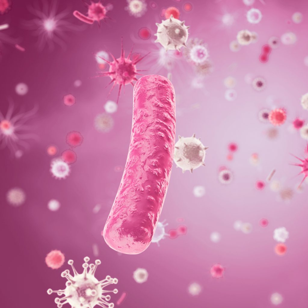 Con fuertes bacterias intestinales contra los virus