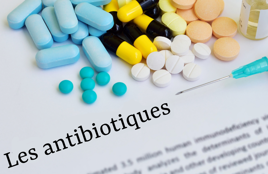 antibiotiques effets probiotique
