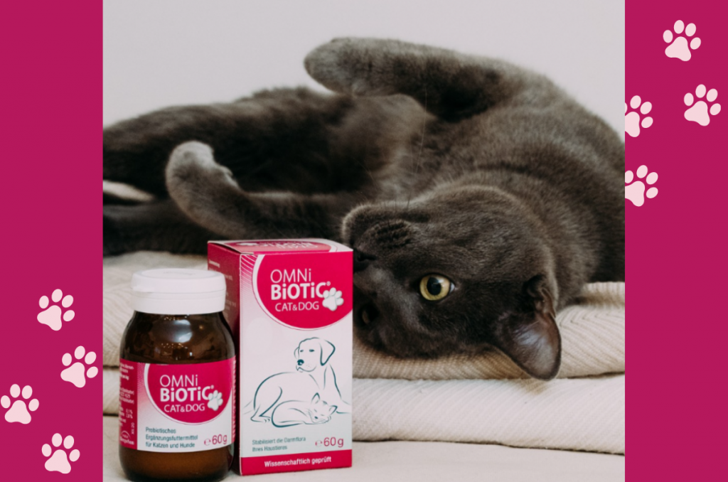 OMNi-BiOTiC® CAT & DOG : probiotique chien et chat